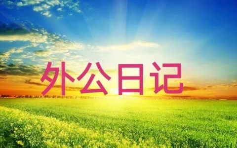 幼儿园小班教育随笔尿裤子（幼儿园小班教育随笔200篇）