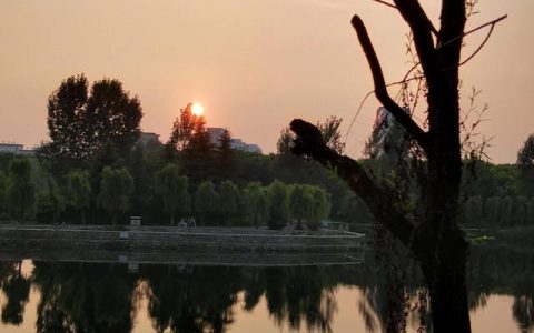 值日生表格模板怎么做（值日生表格模板下载）
