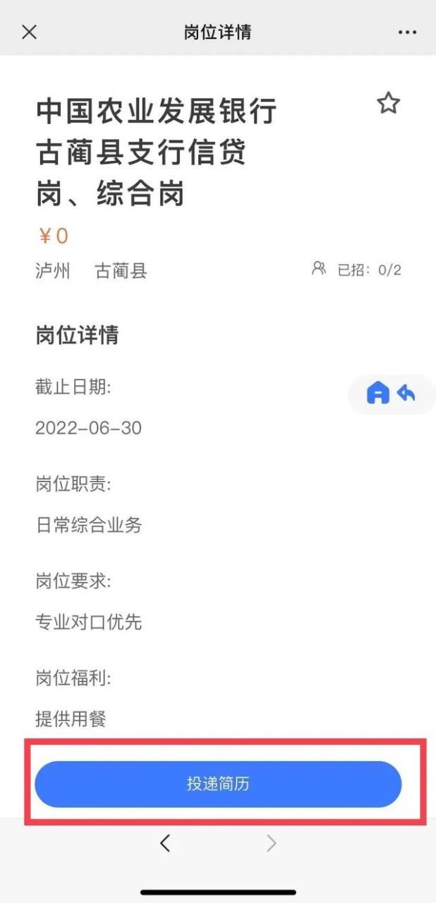 大学生社会实践调查报告模板（社会实践调查报告模板标准）