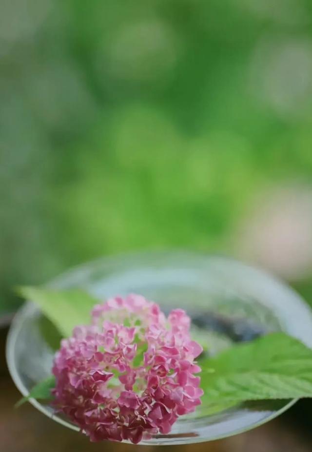 美文分享 励志故事越努力越幸运（美文分享 励志故事加感悟）