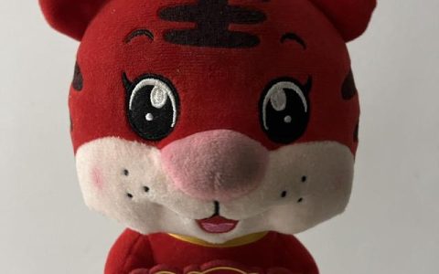 小学五年级上册语文作文题目（五年级上册作文的题目）