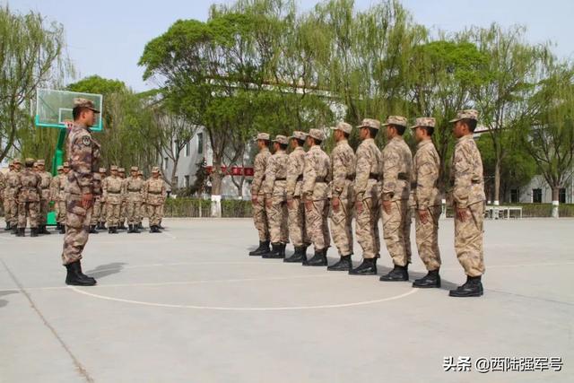 战术基础动作示范教案（战术教学法示范教案）