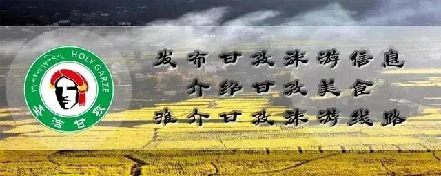 难忘的风景作文600字初中疫情（难忘的风景作文600字初中免费）