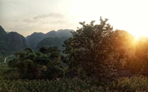 支教工作总结（支教大明）