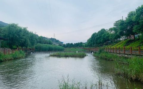 漓江春雨赏析（漓江的散文）