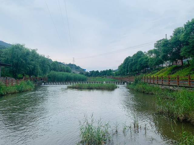 漓江春雨赏析（漓江的散文）