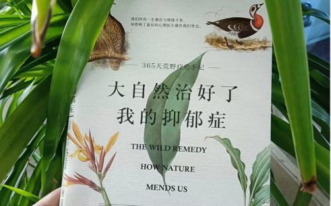 有趣的自然现象作文300字（关于自然现象作文300字）