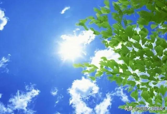 英语感叹句what和how的用法（how的用法4种）