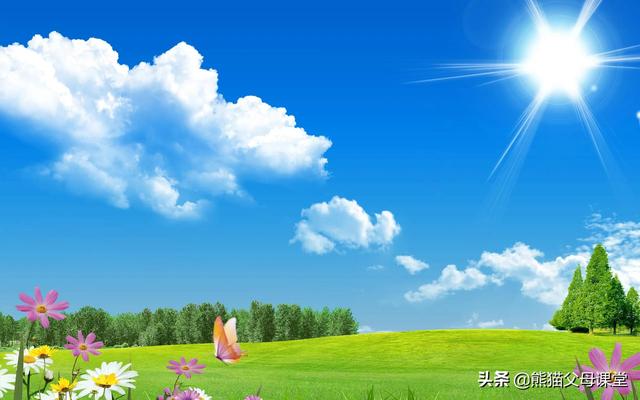 英语感叹句what和how的用法（how的用法4种）