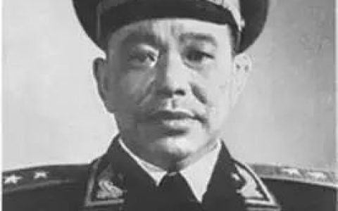 广东籍将军名单多少人数（现任广东籍将军名单）