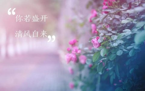 医药微信营销（企业微信医疗行业）