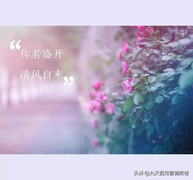 医药微信营销（企业微信医疗行业）