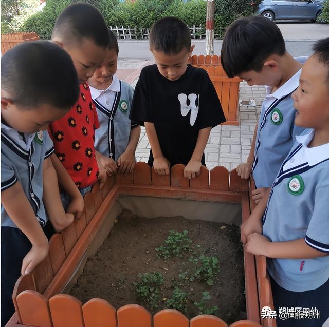 幼儿园种植活动总结（幼儿园种植区设计方案）