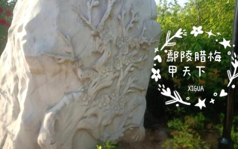 河南方言大全笑死人视频（爆笑河南方言）