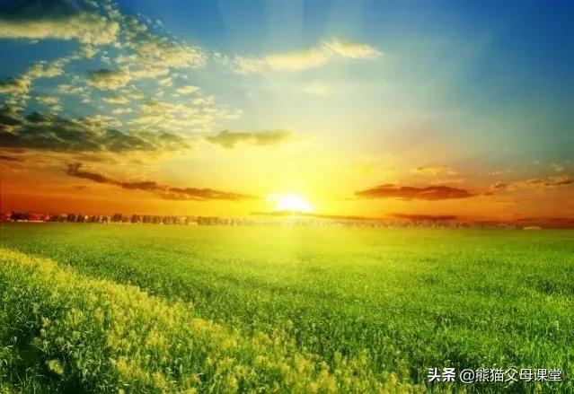 英语感叹句what和how的用法（how的用法4种）