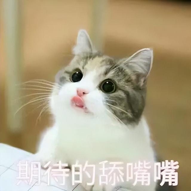 工程项目简介介绍模板（绍兴市镜岭水库建设工程项目简介）