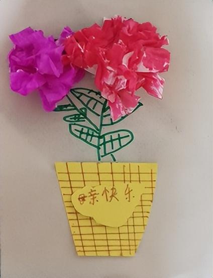 描写康乃馨的作文(康乃馨的作文600字)