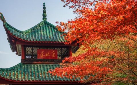 鲁迅先生爱国的名句是（鲁迅先生爱国的名言）