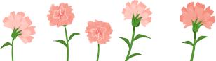 描写康乃馨的作文(康乃馨的作文600字)