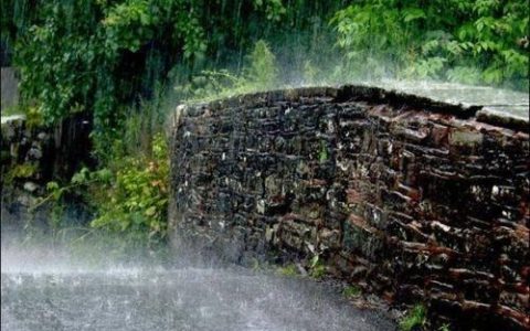 描写雨的文章名家 短篇（描写雨的文章800字）