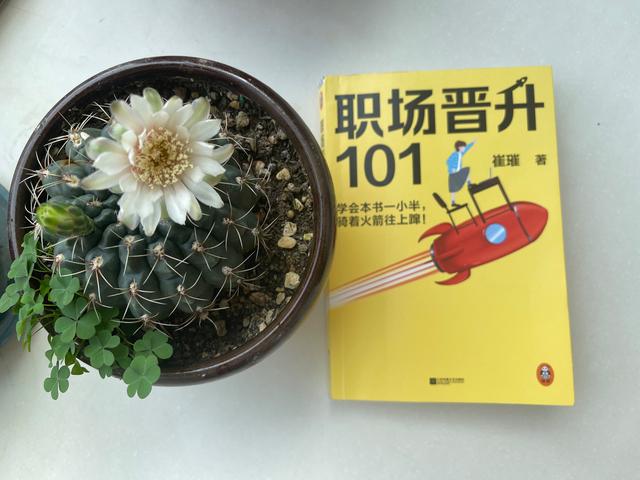 教师入职自我评价（入职自我评价100字左右）