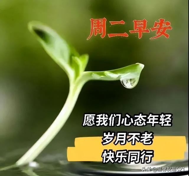 美业早上吸引朋友圈的句子（早上吸引朋友圈的句子早安图片）