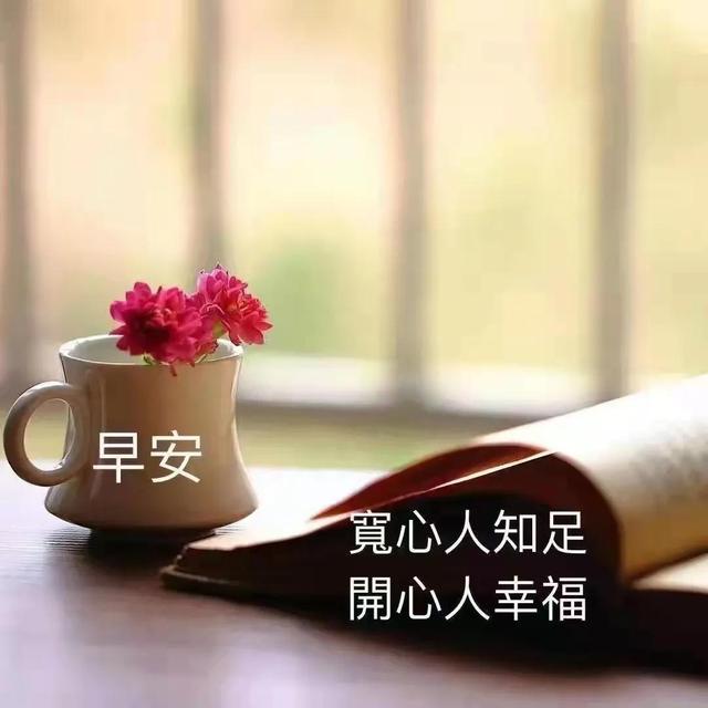 敬畏作文800字高中议论文（敬畏作文600字初中）