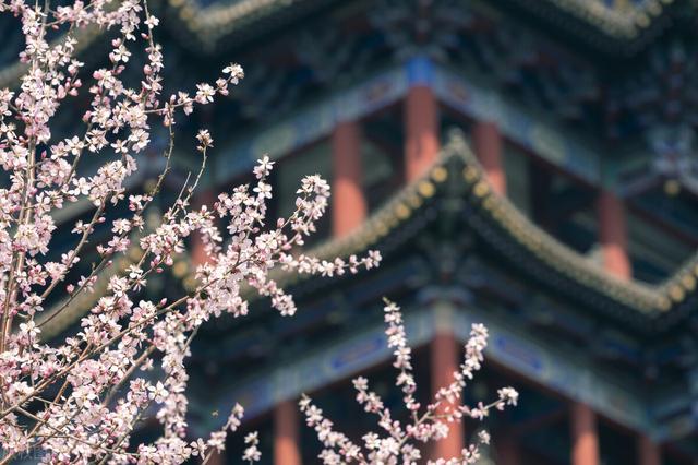 岂曰无依衣与子同袍的意思怎么读，岂曰无依衣与子同袍的意思和现实意义