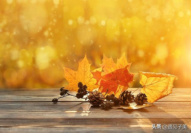 秋天的景色写一段话二年级，秋天的景色写一段话二年级简单