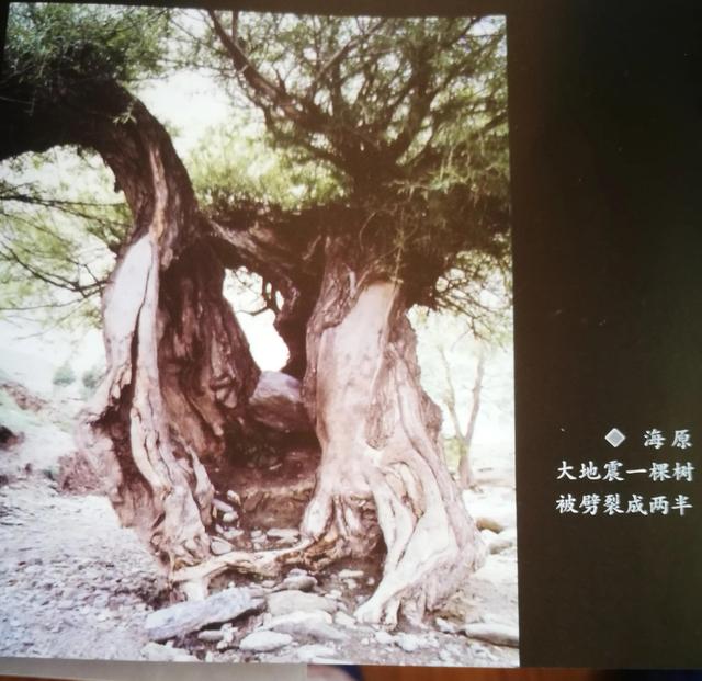 遐迩闻名的意思是什么，遐迩闻名的意思是什么意思