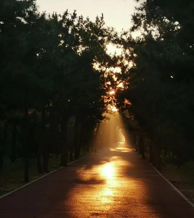 桑榆非晚,柠月如风是什么意思，桑榆非晚柠月如风是什么意思,用做人名好吗