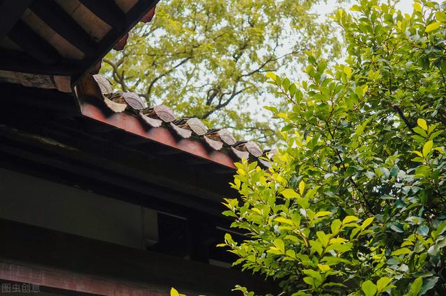 岂曰无依衣与子同袍的意思怎么读，岂曰无依衣与子同袍的意思和现实意义