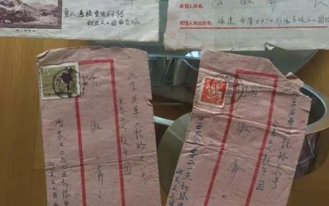 我的爸爸妈妈作文300字五年级，我的爸爸妈妈作文300字四年级