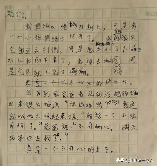 观察小狗的日记怎么写四年级的，观察小狗的日记怎么写四年级的作文！