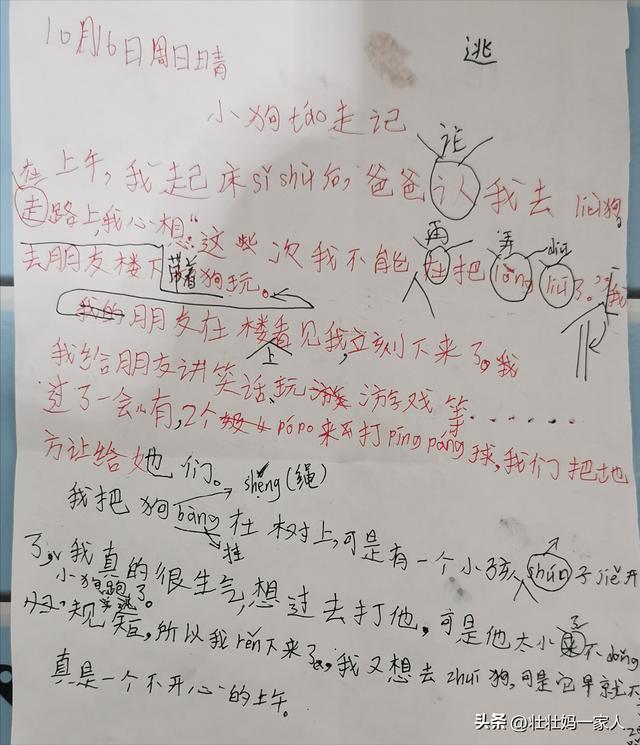 观察小狗的日记怎么写四年级的，观察小狗的日记怎么写四年级的作文！