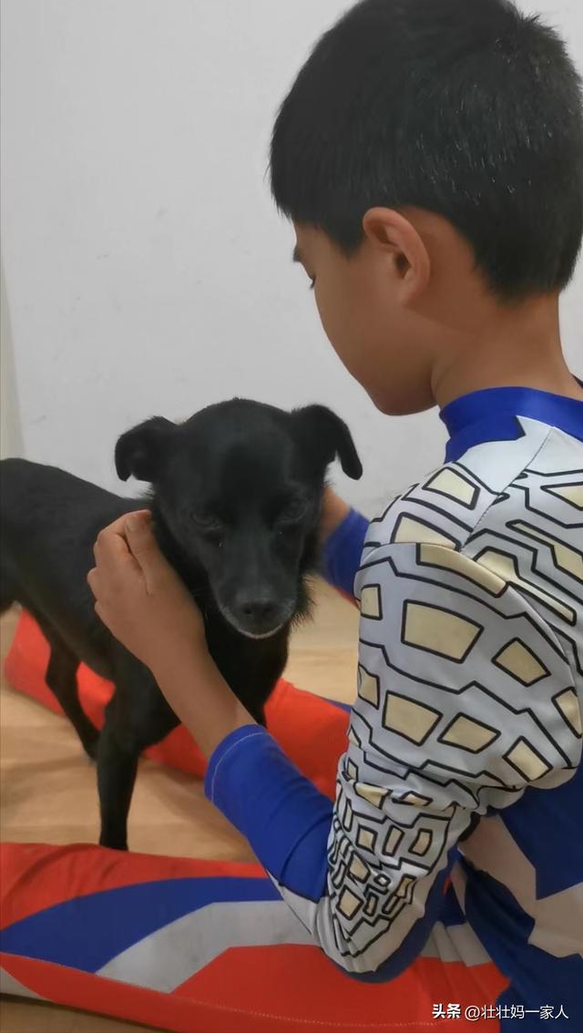 观察小狗的日记怎么写四年级的，观察小狗的日记怎么写四年级的作文！