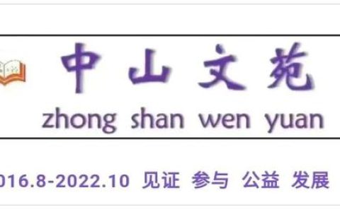 我的姐姐是大明星男主和秦宝宝的关系，我的姐姐是大明星秦宝宝是亲生的吗！