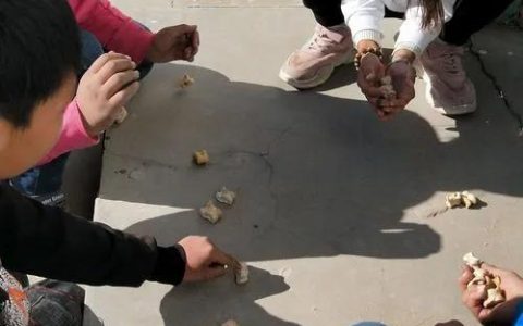 一次有趣的游戏400字作文，一次有趣的游戏作文450字四年级！