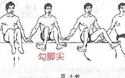 如何学游泳视频教程全集，如何学游泳视频教程完整版！