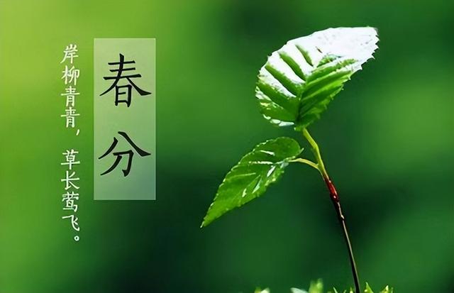 春分短信祝福，春分短信祝福_2句！
