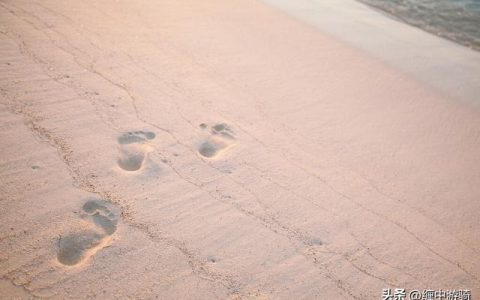 作文《这就是我》300字左右，作文《这就是我》300字初中！