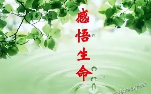 生命的追求作文600字初中，生命的追求作文600字怎么写！