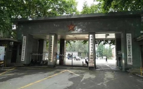 生活是一首歌作文800字初一，生活是一首歌作文800字叙事！