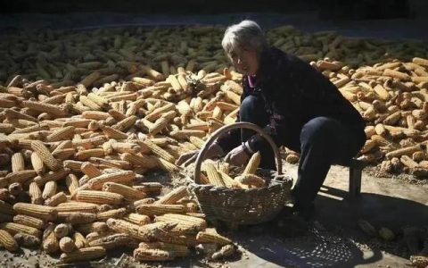 感恩母亲的句子简短一点，感恩母亲的句子简短一句话！