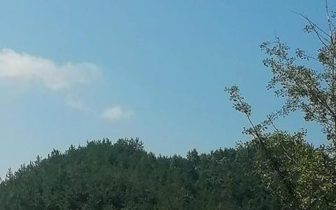 描写山景的优美句子50字，描写山景的优美句子50字左右！