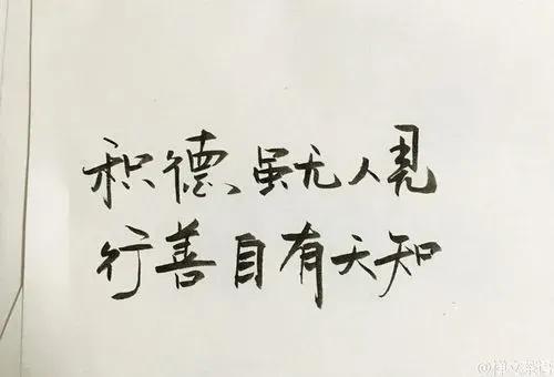 感悟生命作文600字，感悟生命作文600字初中