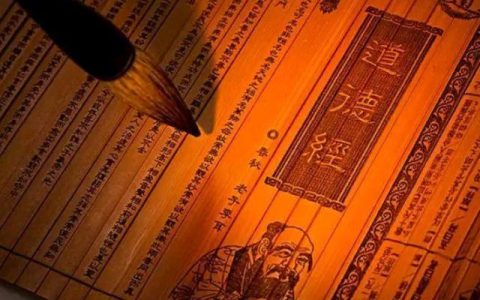 感恩的力量感悟小学生，感恩的力量感悟句子