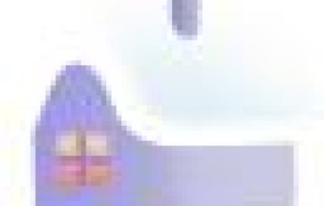 产品市场调研包括哪些内容，产品市场调研包括哪些内容图片