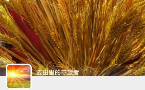 我的一天作文600字初中，600字优秀作文大全